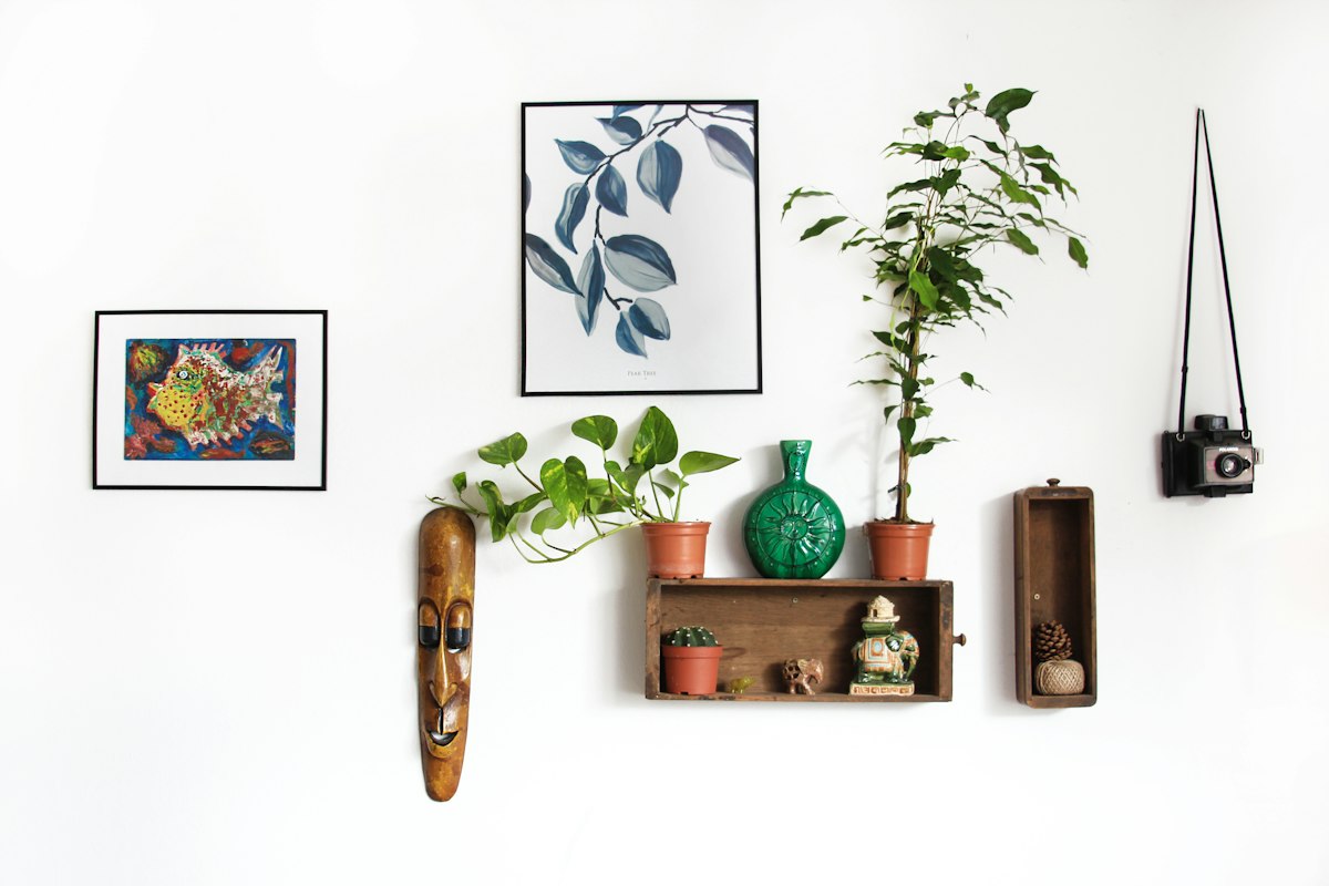 Botanical Shelf Display
